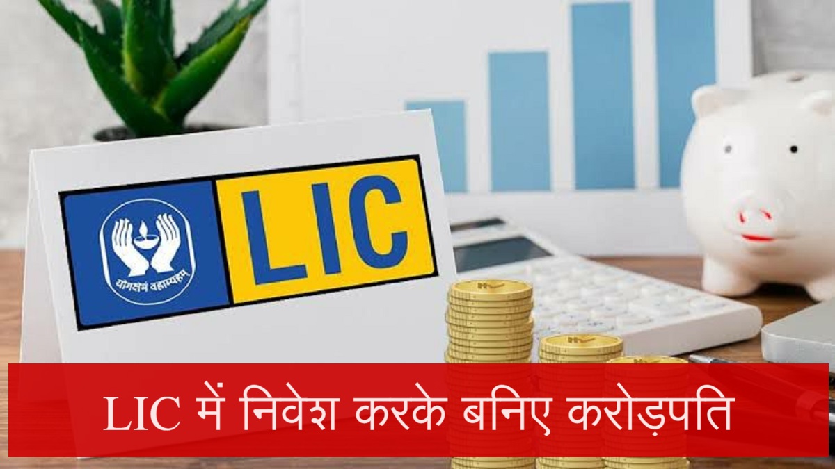 LIC Investment